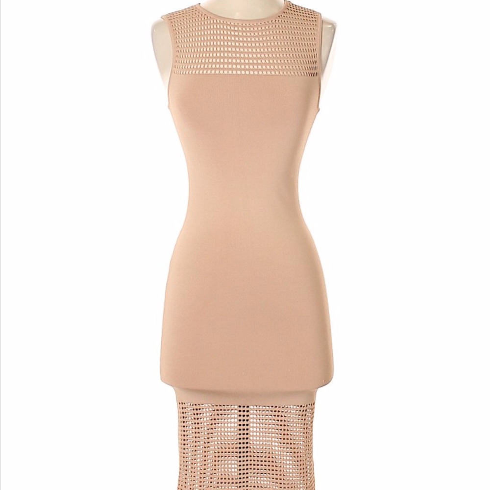 Torn by Ronny Kobo Dress